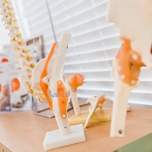 manual therapy